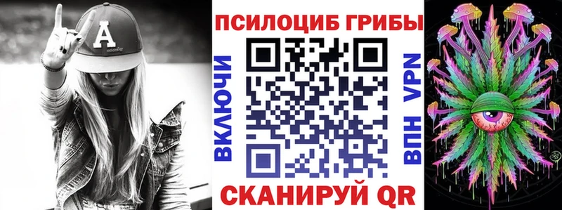 Купить где  Ишим  Псилоцибиновые грибы прущие грибы 